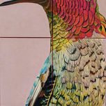 Colorful Nature thumbnail 2