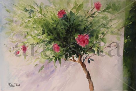 Rosal arbol