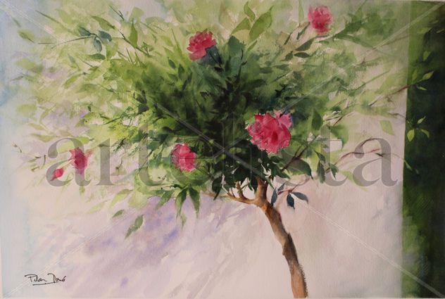 Rosal arbol
