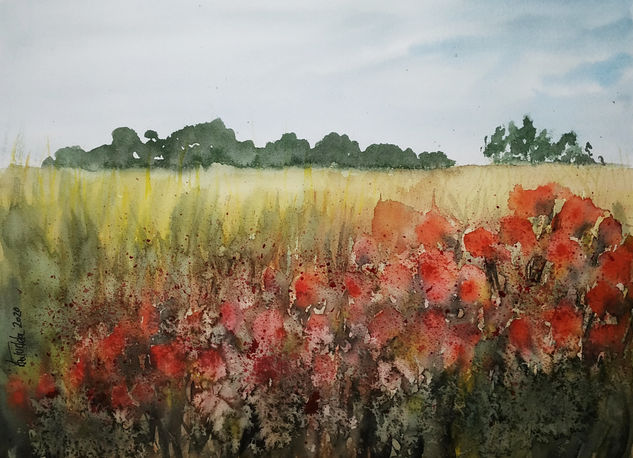 Amapolas Watercolour Paper Landscaping