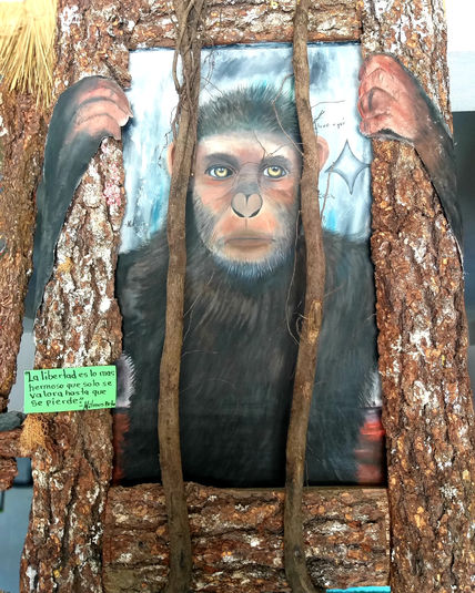 El simio