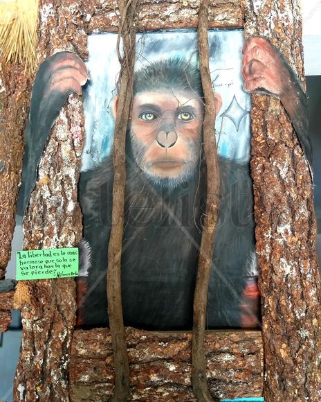 El simio