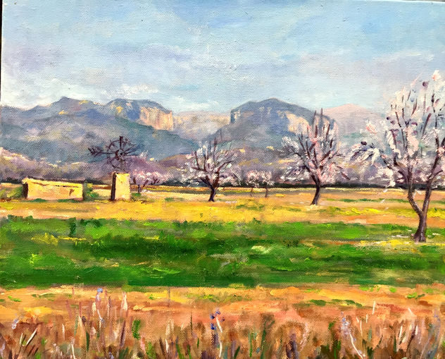 del Pla a la Tramuntana