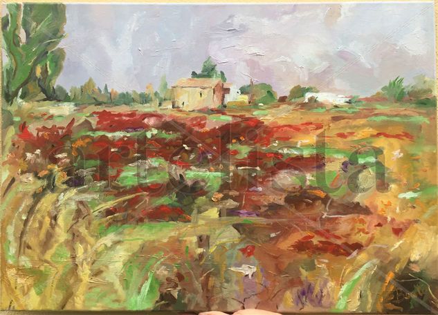 Campo de amapolas Oil Canvas Landscaping