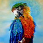 Mexican Culture thumbnail 1