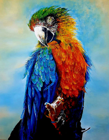 GUACAMAYA Acrylic Canvas Animals