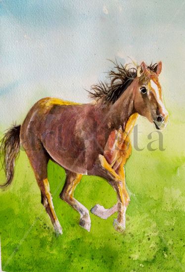 Caballo Watercolour Paper Animals