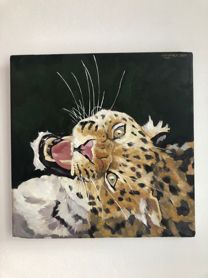 Jaguar Oil Canvas Animals