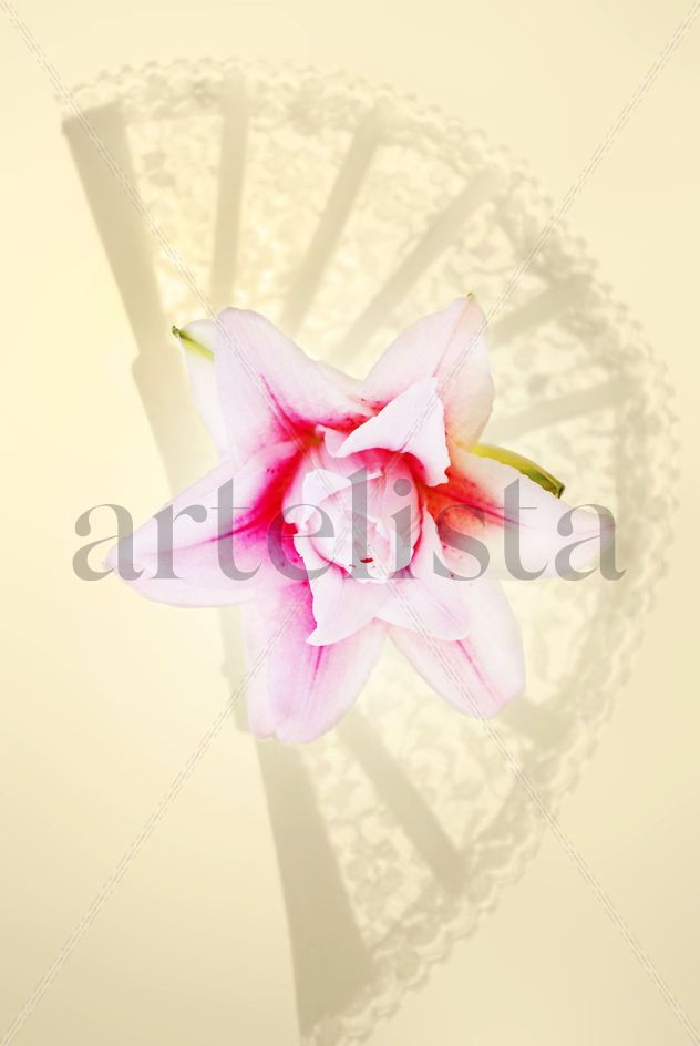 Sombra de Abanico con Flor de Azucena