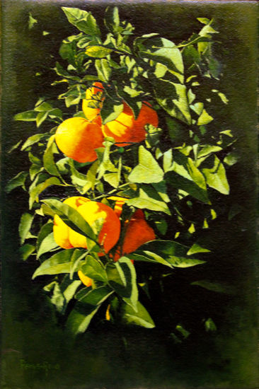 Naranjas en el naranjo Oil Paper Still Life Paintings