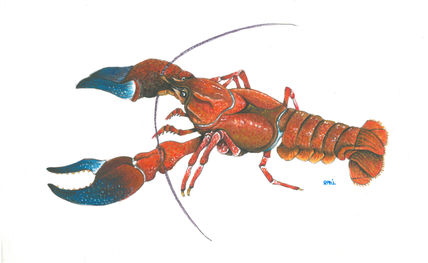 Cangrejo