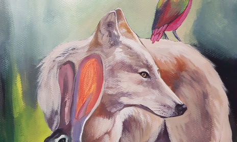Animales