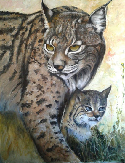 Linces Oil Canvas Animals