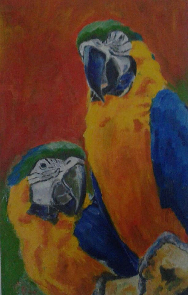 guacamayos