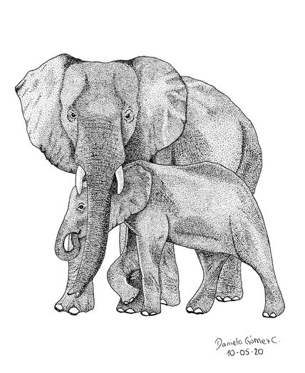Mamá elefante