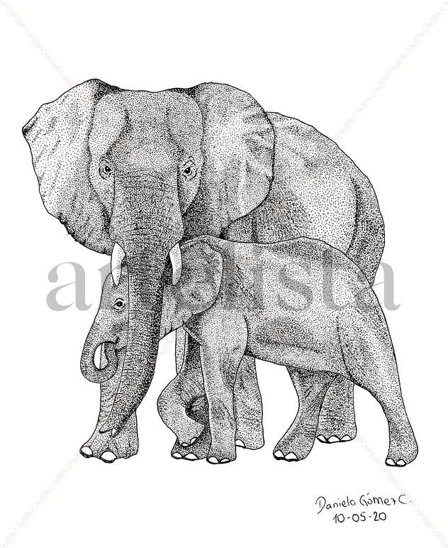 Mamá elefante