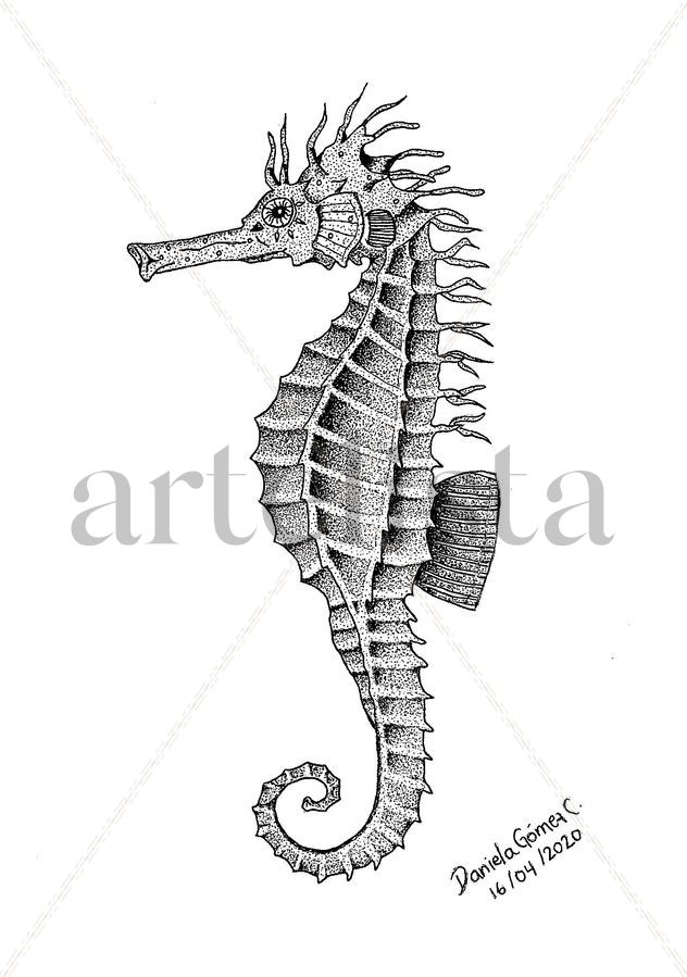 Caballito de mar