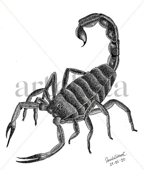 Escorpión
