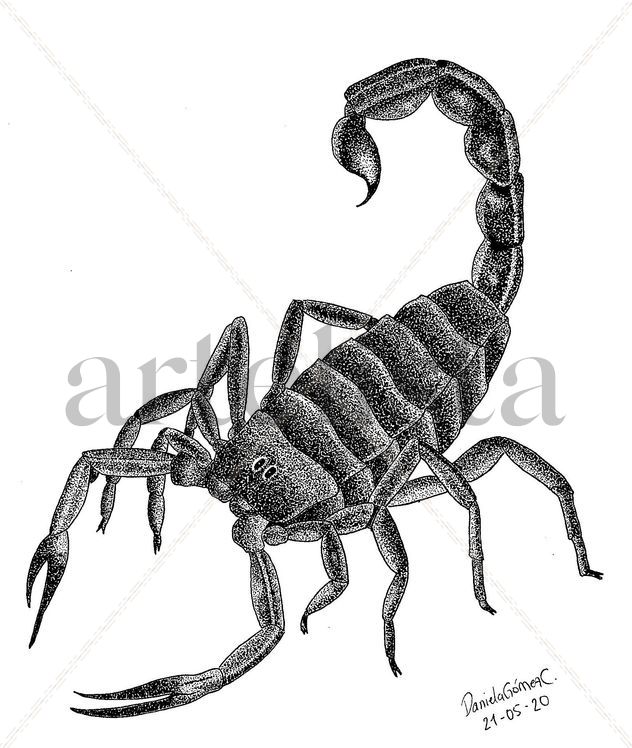 Escorpión