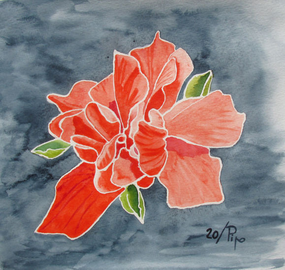 hibisco doble 3 Watercolour Paper Floral Painting