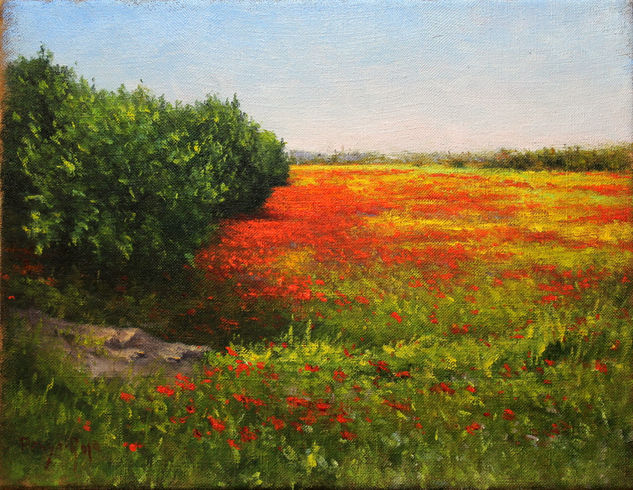 Campo de amapolas Oil Canvas Landscaping