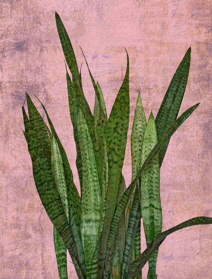 Botanic beauty 1