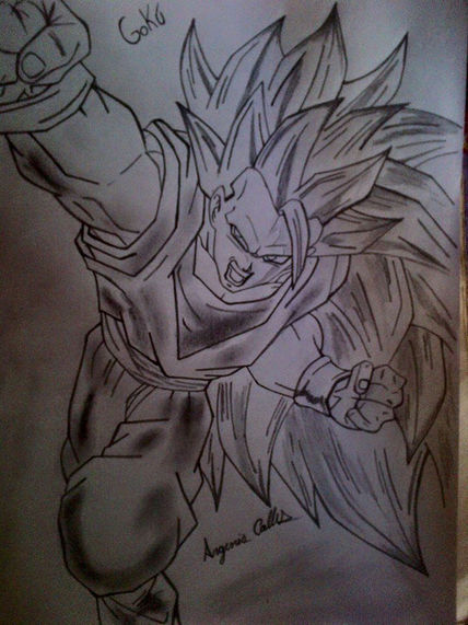 Dragon ballz
