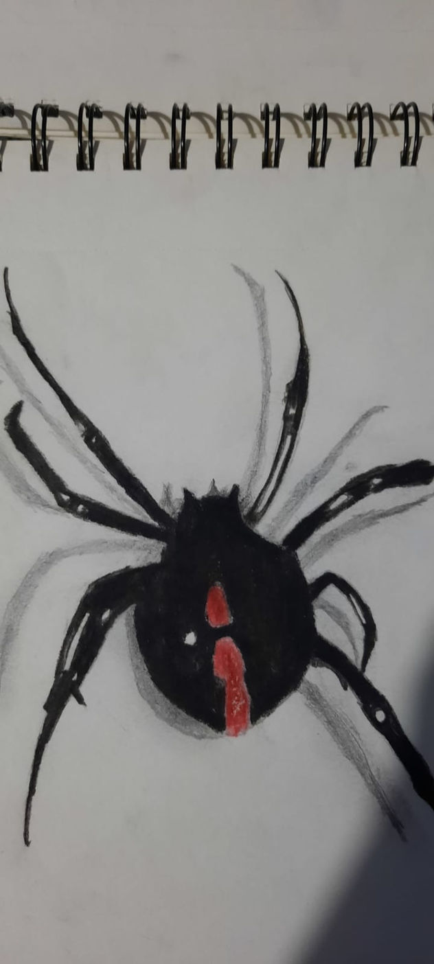 araña realista