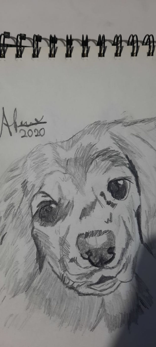 el perro realista