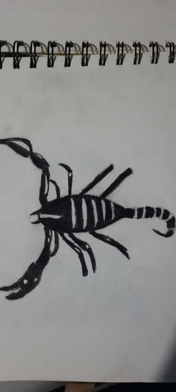 el escorpion Charcoal