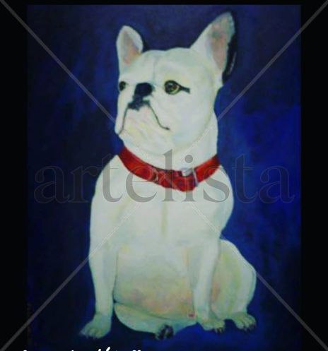 Boxer Frances