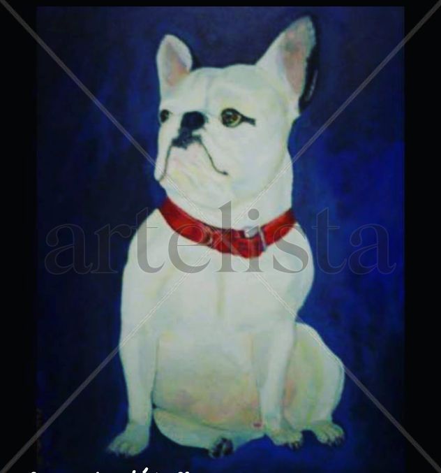 Boxer Frances