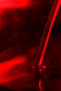 Rojo pasion 1