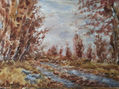 OTOÑO EN EL ERESMA