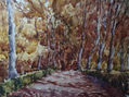 SOLEDAD EN EL RETIRO