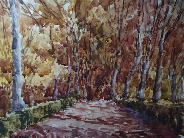 SOLEDAD EN EL RETIRO