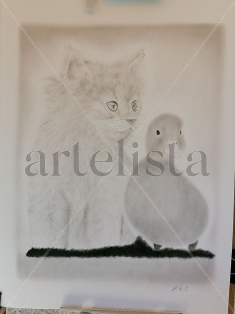 Gato y pato