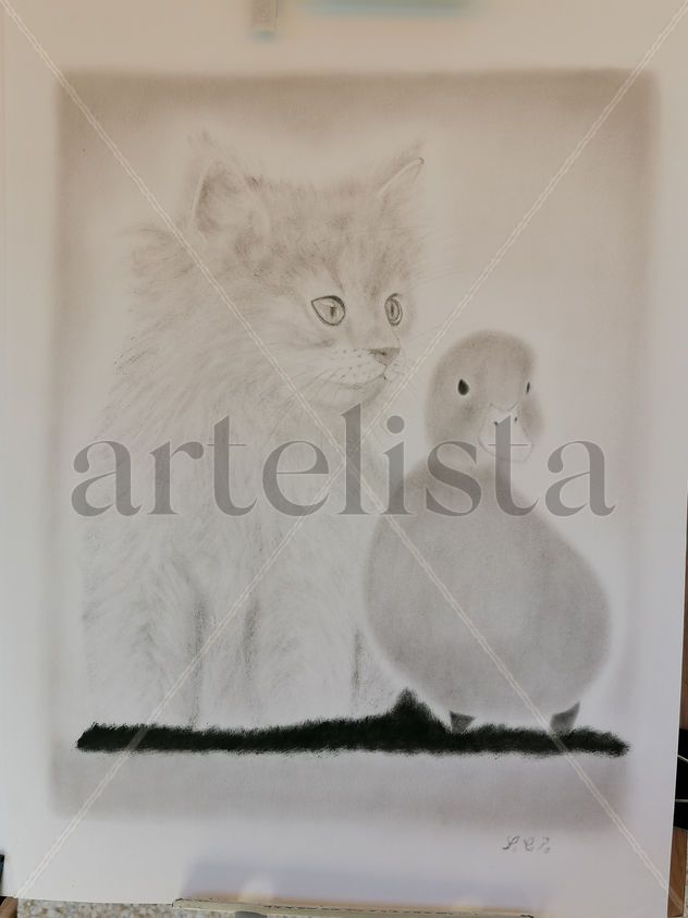 Gato y pato