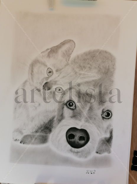 Animales