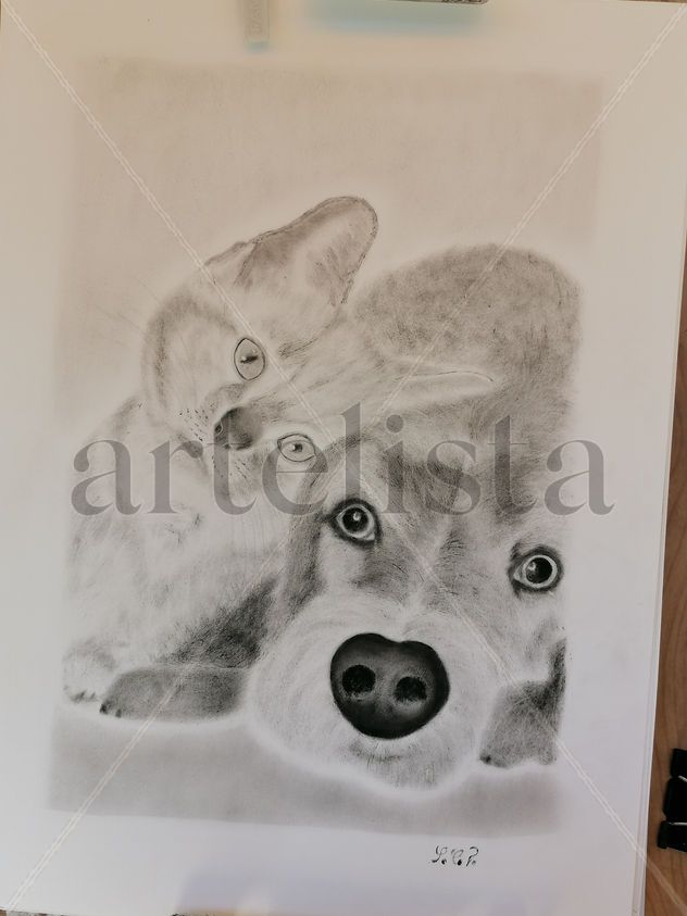 Animales