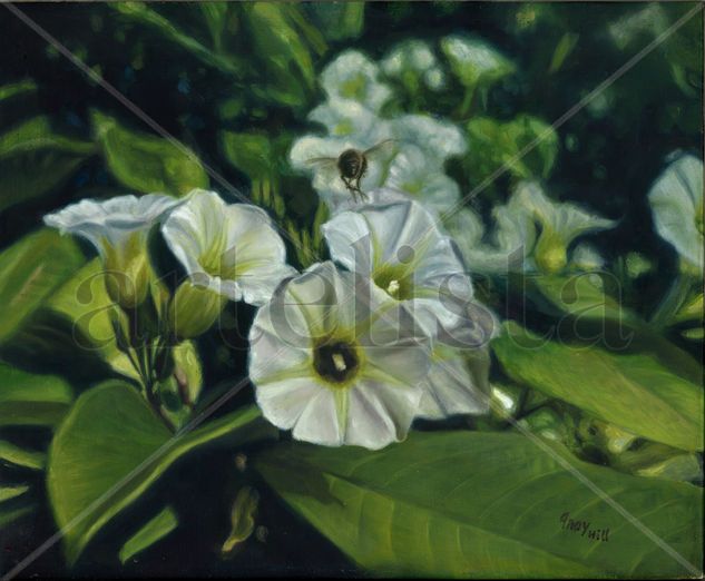 Campanillas Oil Canvas Floral Painting