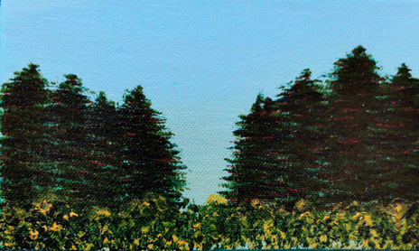 Paisajes
