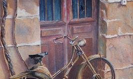 motos, coches, tractores etc