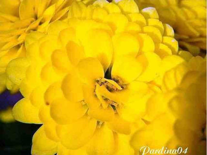 Imagen34