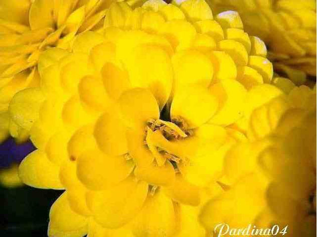 Imagen34