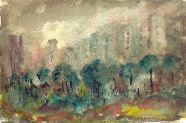 Pinar y edificios entre la niebla Watercolour Paper Landscaping