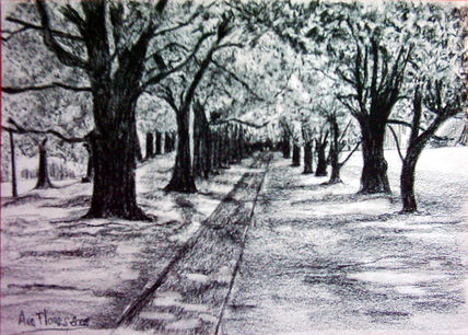 Paseo