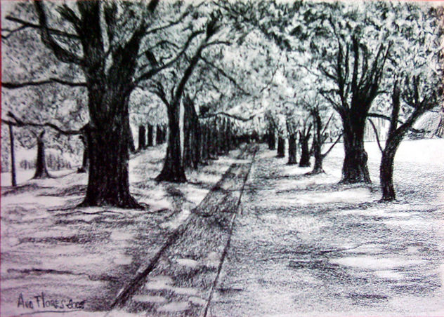 PASEO