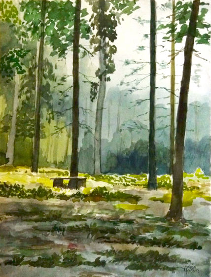 Mediodía en el bosque