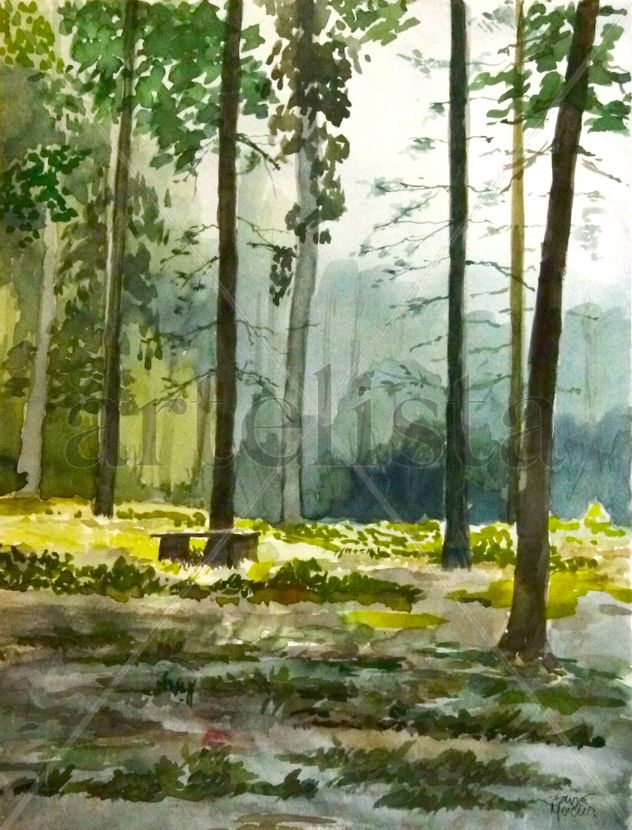 Mediodía en el bosque
